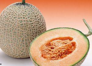 神兽吃哈密瓜,哈密瓜的奇幻之旅