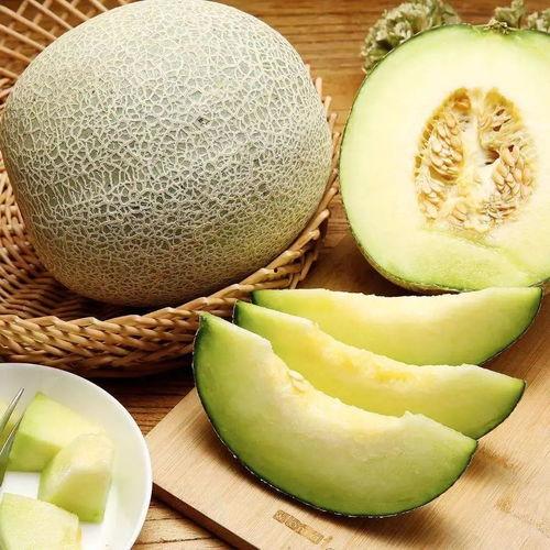 网纹蜜瓜如何吃
