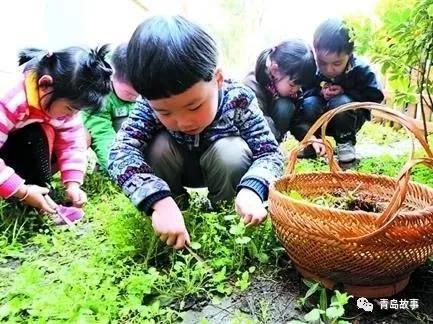 河里吃野瓜视频,一场视觉与味蕾的双重盛宴
