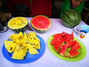 大金山吃瓜,揭秘娱乐圈的甜蜜与苦涩