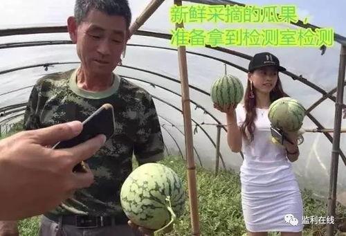 群众吃瓜直播视频