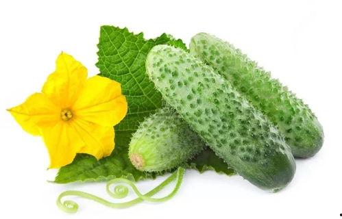 林妹吃瓜系统,揭秘娱乐圈幕后真相